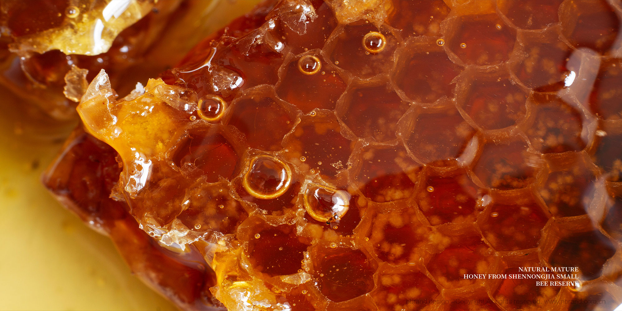 샞(yu)ʳƷbOӋ,YOӋ,߶ƷOӋ