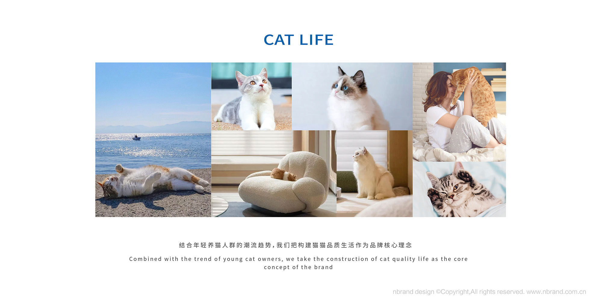 bOӋ: 샞(yu)؈ɰbOӋ,a(chn)ƷbOӋ,ƷOӋ